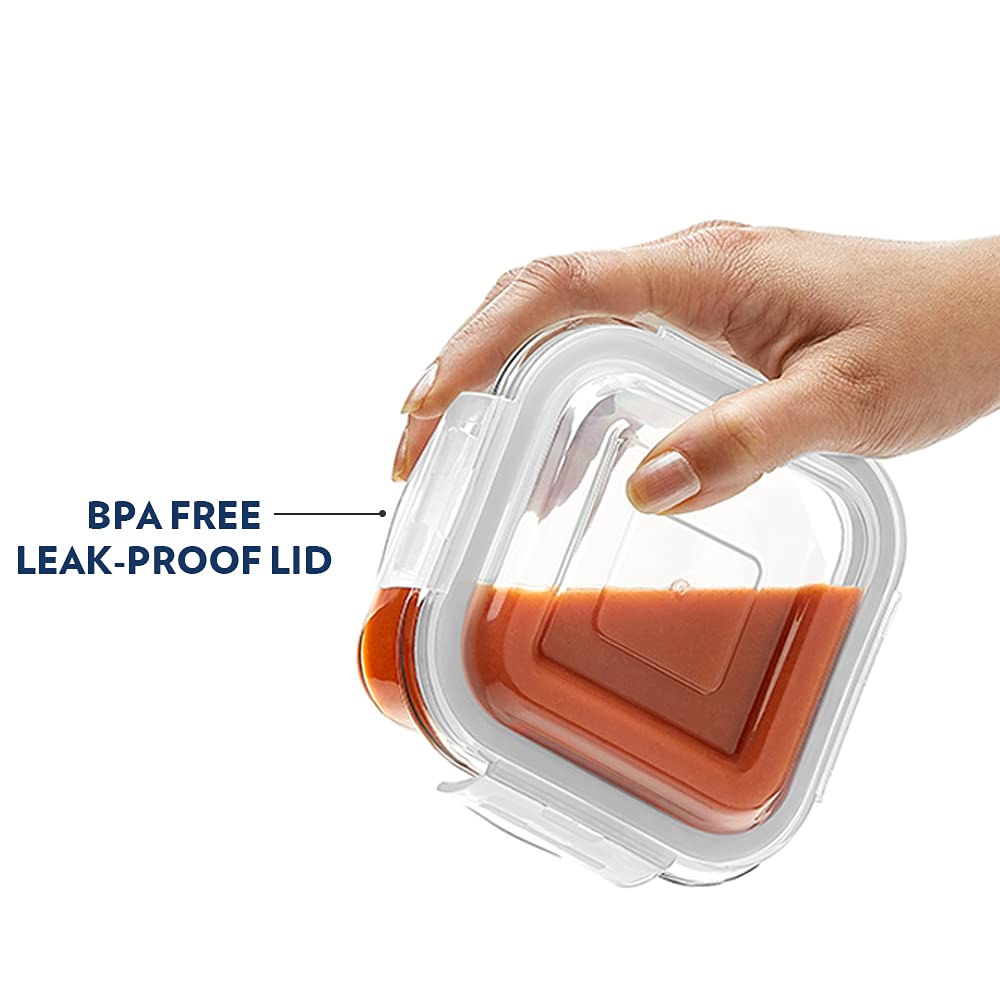 Borosil Klip N Store 2pc Square Food Storage Containers — 320ml & 520ml - Crystalkart